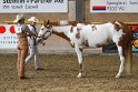22-APHA HOTC_034